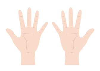 Vector illustration of two hands with open palms