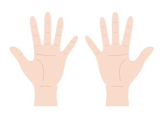 Vector illustration of two hands with open palms