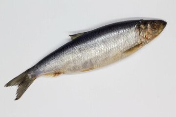 Herring on a white background. Isolated. Whole Salty fish. Salted herring. Successful marine fishing. Sea catch of fishermen. Delicious juicy ocean food. Freshness and seafood. Close-up. Top view