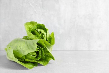 Fresh green romaine lettuces on light grey table, space for text