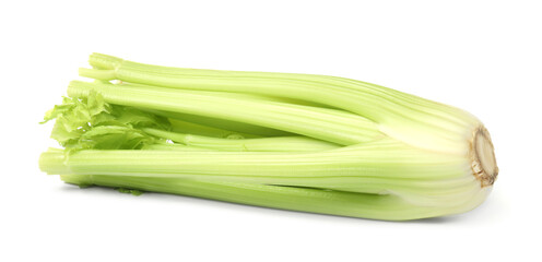 Fresh ripe green celery isolated on white