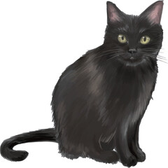 黒猫 - obrazy, fototapety, plakaty
