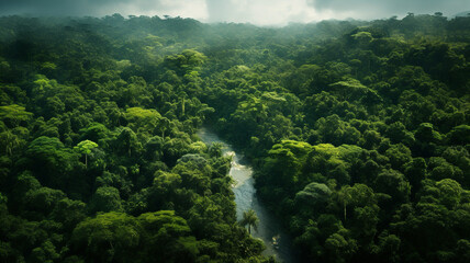 Naklejka na ściany i meble Aerial View of a Tropical Landscape