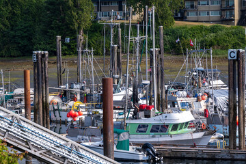 Fisherman's Wharf Porty Hardy Vancouver Island British Columbia: various working commercial fishing boats and pleasure craft in the marina on a sunny summer morning,