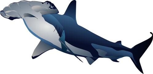 tiburon ballena, vector, mundo marino