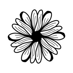 Flower Lineart