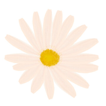 Untitled Artwork