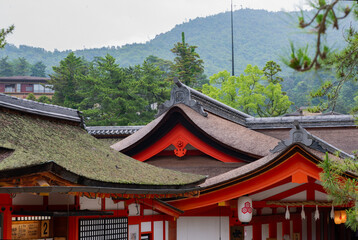 古い神社の藁葺き屋根の建築物