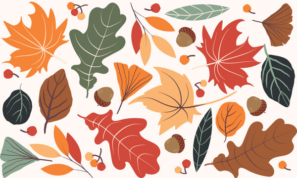 seamless pattern with autumn leaves. Autumn seamless pattern with different leaves and plants, seasonal colors. Autumn leaves seamless pattern wallpaper image