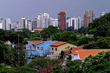 Casas e predios no bairro Pacvaembu. Sao Paulo.