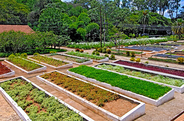 Viveiro de plantas Manequinho Lopes. Parque do Ibirapuera. São Paulo.