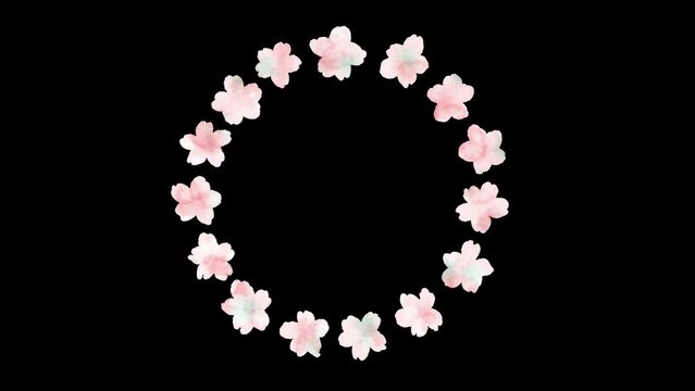 桜の花　回転する丸フレーム