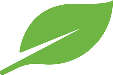 Green leaf ecology nature element vector icon, Leaf Icon. Green color. Leafs green color icon logo. Leaves on white background. Vector designer elements Decorative beauty elegant for design