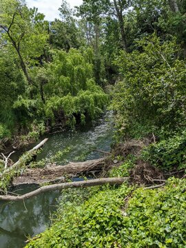 San Jose Calero Creek