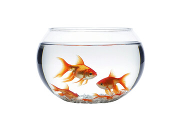Goldfish bowl. isolated object, transparent background