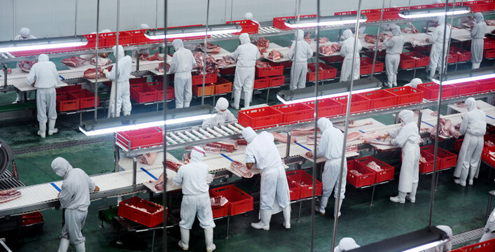 Group of workers working in a line in pork industry plant