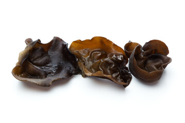 白背景のキクラゲ