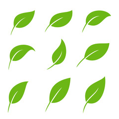 vector illustration group of variation nature green leaf leaves icon sign. clip art. 