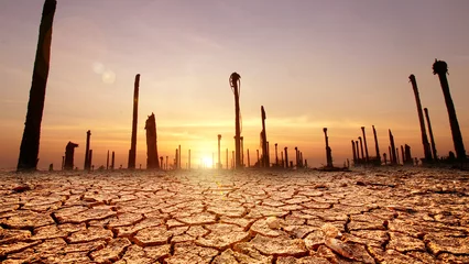 Rolgordijnen The concept of drought crisis and water scarcity due to global warming and environmental change. © Stock Photo For You