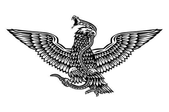 illustration of an eagle biting a snake, vector black and white, mexican coat of arms