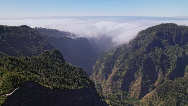 Cinematic view: Madeira Island's summer landscapes