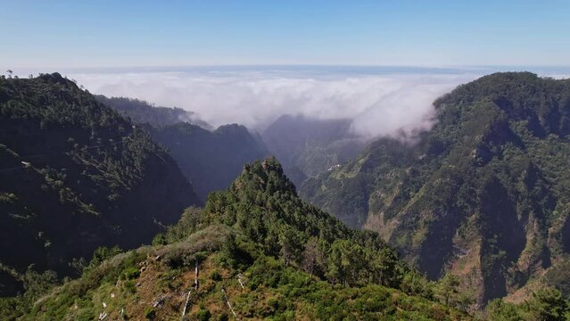 Awe-inspiring: Madeira Island's summer enchantment