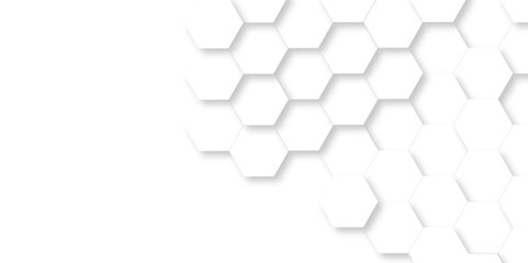 Background with white and black lines 3d Hexagonal structure futuristic white background and Embossed Hexagon , honeycomb white Background ,light and shadow ,Vector.
