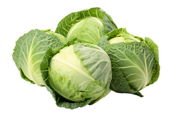 Fototapeta premium cabbage isolated on white background