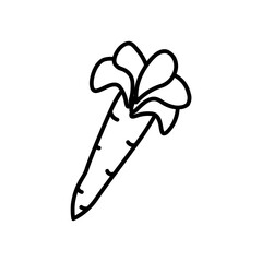 carrot line icon