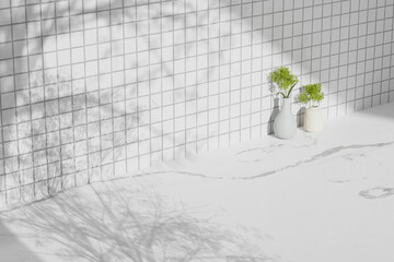 Simple monotone background with vases, tree
shadows and natural light.