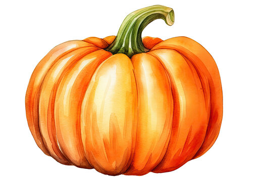 Watercolor illustration of ripe pumpkin isolated on transparent background, Generative AI