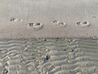 Barfuß Spuren im Sand hinterlassen am Strand der Nordsee in Cuxhaven bei der Ebbe 
