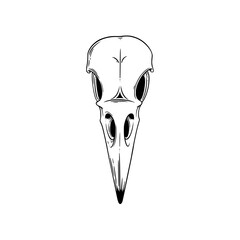 Crow skull sketch. Halloween skull for spooky designs. Vector illustration isolated in white background