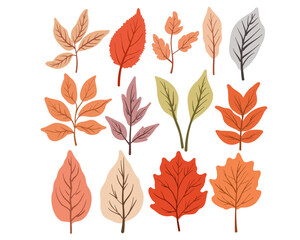 Set of autumn leaves, vector illustration