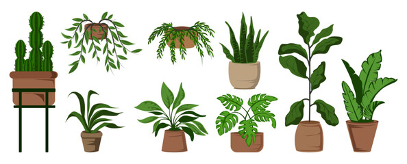 Potted leaf houseplants set vector illustration