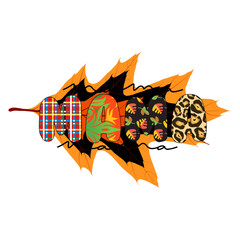 Pumpkin Design, Thankfull, Autumn, Fall Svg Design