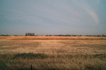 Grass field train landscape