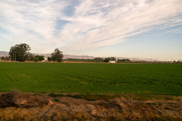 Grass field train landscape