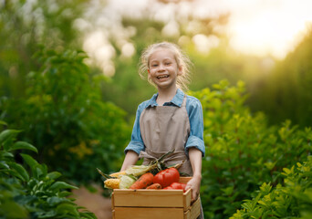 little farmer with a box of vegetables