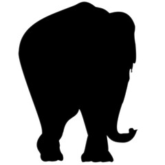 Thailand elephant silhouette shape on vecter