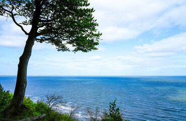 Fototapeta na wymiar Viewpoint Gosan in Poland. Green nature with a view of the Baltic Sea. 