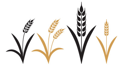 大麦小麦オオムギコムギのシンプルなロゴ、アイコン、イラストセット - 625029510