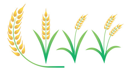 大麦小麦オオムギコムギのシンプルなロゴ、アイコン、イラストセット