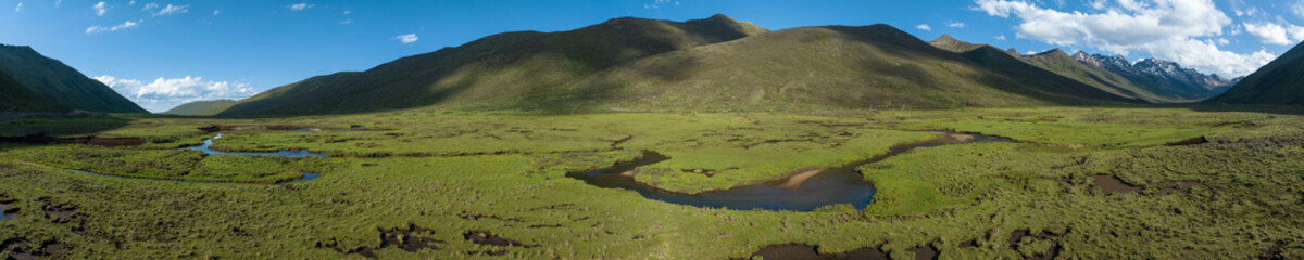 Aerial view of beautiful high altitude grassland and flowers, China