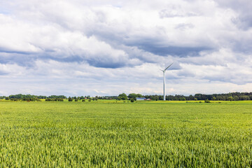 Field with crops and wind power