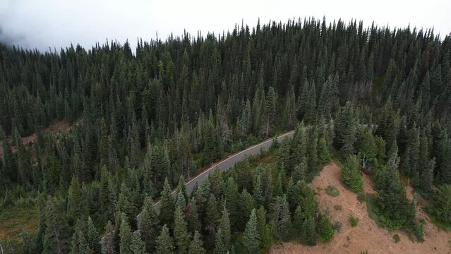 Captivating drone flight over a scenic road near Olympic National Park in Washington, USA. Perfect for travel enthusiasts seeking captivating nature exploration in 4K.