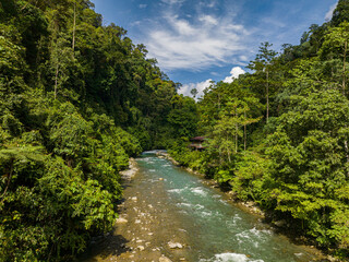 Fototapeta na wymiar A river in the jungle with tropical vegetation. Sumatra. Bukit Lawang. Indonesia.