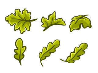 Set of vector leaves in cartoon style.
