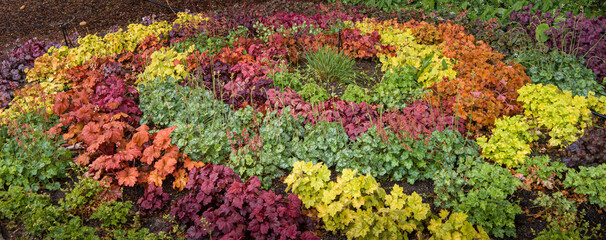 herb spiral in the garden with herbs and flowers