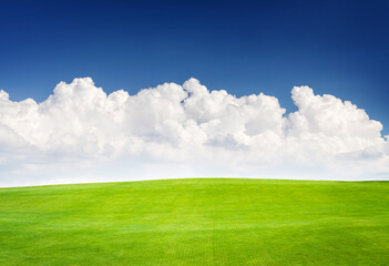 Landscape with green grass field under a blue sky